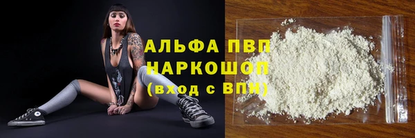 гашик Алексин