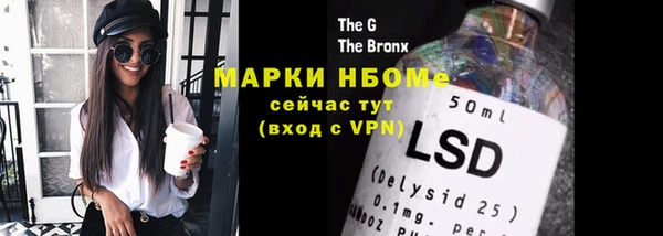 гашик Алексин
