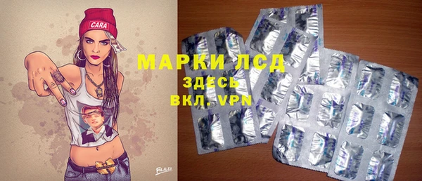 гашик Алексин